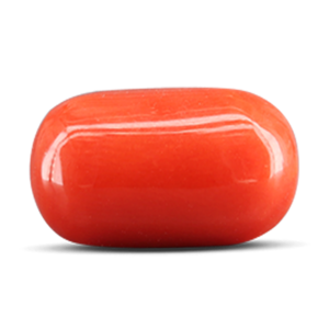 Munga (Red Coral)