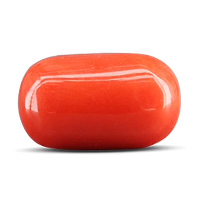 Munga (Red Coral)